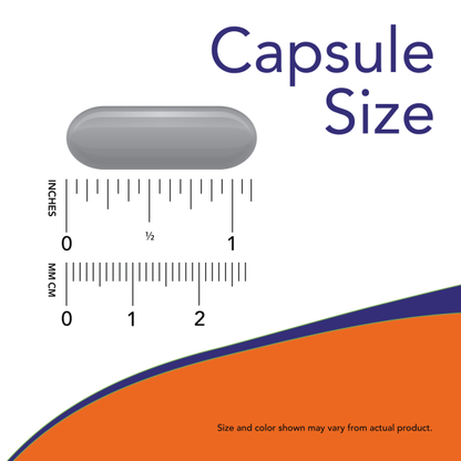 Image illustrating the capsule size of Berberine Glucose Support, with measurement markings in inches and millimeters.