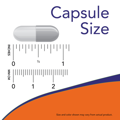 Image displaying capsule size with ruler indications in inches and millimeters.